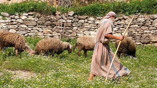 La brebis et la voix de son berger Job 33/14 : Dieu parle cependant, tantôt d’une manière, Tantôt d’une autre, Et l’on n’y prend point garde. Dieu parle à son peuple tantôt d’une manière, tantôt d’une autre, mais l’homme ne tient pas compte. Dieu parle par son fils jésus christ, il parle par ses serviteurs, tout cela il faut le discernement pour les comprendre.