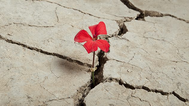 La persévérance est une vertu très importante dans la vie chrétienne, beaucoup des africains ne s’accrochent pas. L’AFRICAINS n’aime pas des choses qui tirent en longueur. Or la persévérance est la nature de Dieu.